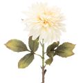 Floristik24 Artificial Dahlia Flower for Vase 68cm Cream White