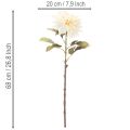 Artificial Dahlia Flower for Vase 68cm Cream White | Floristik24.co.uk
