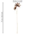 Artificial Dahlia Long-Stemmed with Two Blooms 75cm Metallic Champagne | Floristik24.co.uk