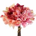 Floristik24 Dahlia bunch bouquet 28cm pink, cream 6pcs