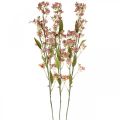 Floristik24 Decorative branch with flowers artificial pink Daphne branch 110cm 3pcs