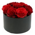 Floristik24 Flower box rose box black round Ø18cm - Ø20cm 2pcs