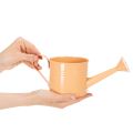 Decorative watering can set in pastel salmon, green, yellow-green - metal planter Ø11cm H10cm, 8 pieces | Floristik24.co.uk