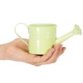 Decorative Watering Can Planter Set, Metal, 8-Piece, Multicolored, 16.5x7cm - Ideal Plant Containers for Balcony &amp; Kitchen | Floristik24.co.uk