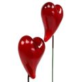 Floristik24 Decorative hearts to stick red 5cm 24pcs