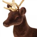 Floristik24 Decorative deer standing brown gold reindeer Christmas decoration 27cm