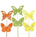 Floristik24 Decorative wood butterfly colorful assorted. 8cm 18pcs
