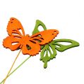 Floristik24 Decorative wood butterfly colorful assorted. 8cm 18pcs