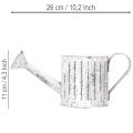 Decorative watering can, planter, watering can for planting Ø10.5cm | Floristik24.co.uk