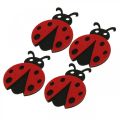 Floristik24 Decorative clips ladybug, spring, lucky beetle to decorate, felt decoration 16pcs