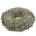 Floristik24 Decorative wreath, moss wreath gray Ø30cm 1p