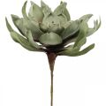 Floristik24 Deco lotus flower artificial lotus flower artificial flower green L70cm