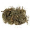 Floristik24 Deco moss nature for crafting 500g