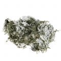 Floristik24 Decorative moss gray snow-covered 500g