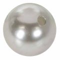 Decorative Beads Ø2cm Silver 12 Pcs | Floristik24.co.uk