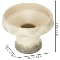 Decorative bowl ceramic bowl cream grey green Ø20cm H16cm | Floristik24.co.uk