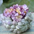 Floristik24 Decorative bowl grapes gray purple cream 19×14cm H9.5cm
