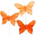 Floristik24 Deco butterfly orange 12pcs