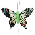 Floristik24 Decorative Butterflies colorful sort.6cm 24pcs