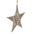 Floristik24 Decorative star for hanging 25cm from vine 1pc