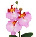 Floristik24 Deco orchid in pot pink H29cm