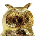 Floristik24 Deco owl gold, shiny 12cm 4pcs