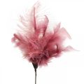 Floristik24 Decorative feathers on the stick bird feathers white/cream/dusky pink 3 pieces