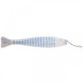 Floristik24 Decorative fish wood wooden fish for hanging light blue H57.5cm