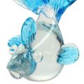 Floristik24 Decorative fish made of clear glass, blue 15cm