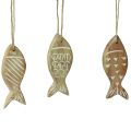 Floristik24 Decorative fish for hanging wooden fish brown white assorted 10cm 4 pieces