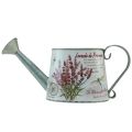 Floristik24 Decorative watering can metal lavender jug 30×11cm H14.5cm