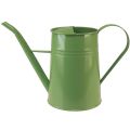 Floristik24 Decorative watering can metal indoor watering can mint 1.7L H23cm