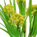 Floristik24 Deco grass with flowers yellow, green H32ccm