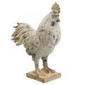 Floristik24 Decorative rooster for garden decorative figure stone look H26cm