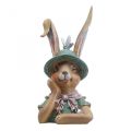 Floristik24 Deco rabbit rabbit bust decoration figure rabbit head 18cm