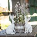 Floristik24 Decorative rabbit sitting shabby chic spring decoration H25cm 2pcs