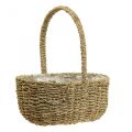 Floristik24 Decorative basket with handle plant basket flower basket 23×31×37cm