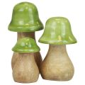 Floristik24 Decorative mushrooms wood wooden mushrooms light green glossy H6/8/10cm set of 3