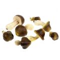 Floristik24 Decorative mushrooms in a net 5-8cm assort. brown 8pcs