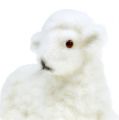 Floristik24 Easter Decoration Sheep Flocked 15cm White 3pcs