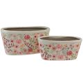 Floristik24 Decorative bowl with anemones ceramic bowl oval 27/23cm set of 2