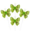 Floristik24 Deco butterflies green 8cm 6pcs
