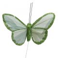 Floristik24 Decorative butterflies green feather butterflies on wire 10cm 12pcs