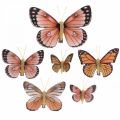 Floristik24 Deco butterflies with clip B4.5–11.5cm 10pcs brown orange