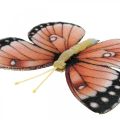 Floristik24 Deco butterflies with clip B4.5–11.5cm 10pcs brown orange
