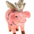 Floristik24 Decorative figure pig with crown 9cm 2pcs