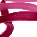 Floristik24 Deco ribbons Velvet Erika 10mm 20m