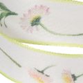 Gift ribbon with a Bellis