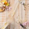 Organza Ribbon with Leaf Branch Design 25mm x 20m | Floristik24.co.uk