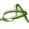 Floristik24 Deco ribbon with lurex ornament green-gold 15mm 20m